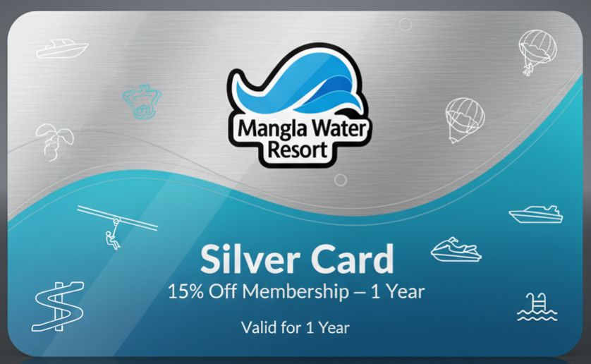 Silver Card